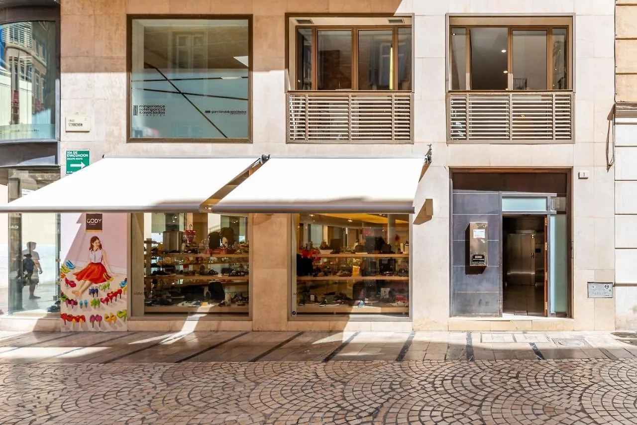 Terraza Larios Apartment Malaga